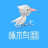 啄木鸟生活小帮手