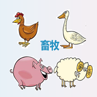 畜牧早知道