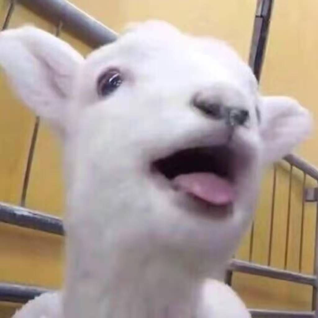 关爱老人就是关爱明天的自己