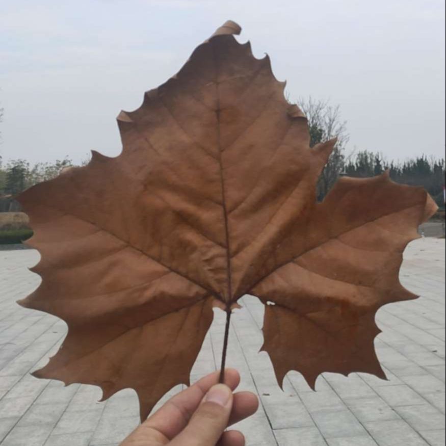 赞赞说点事