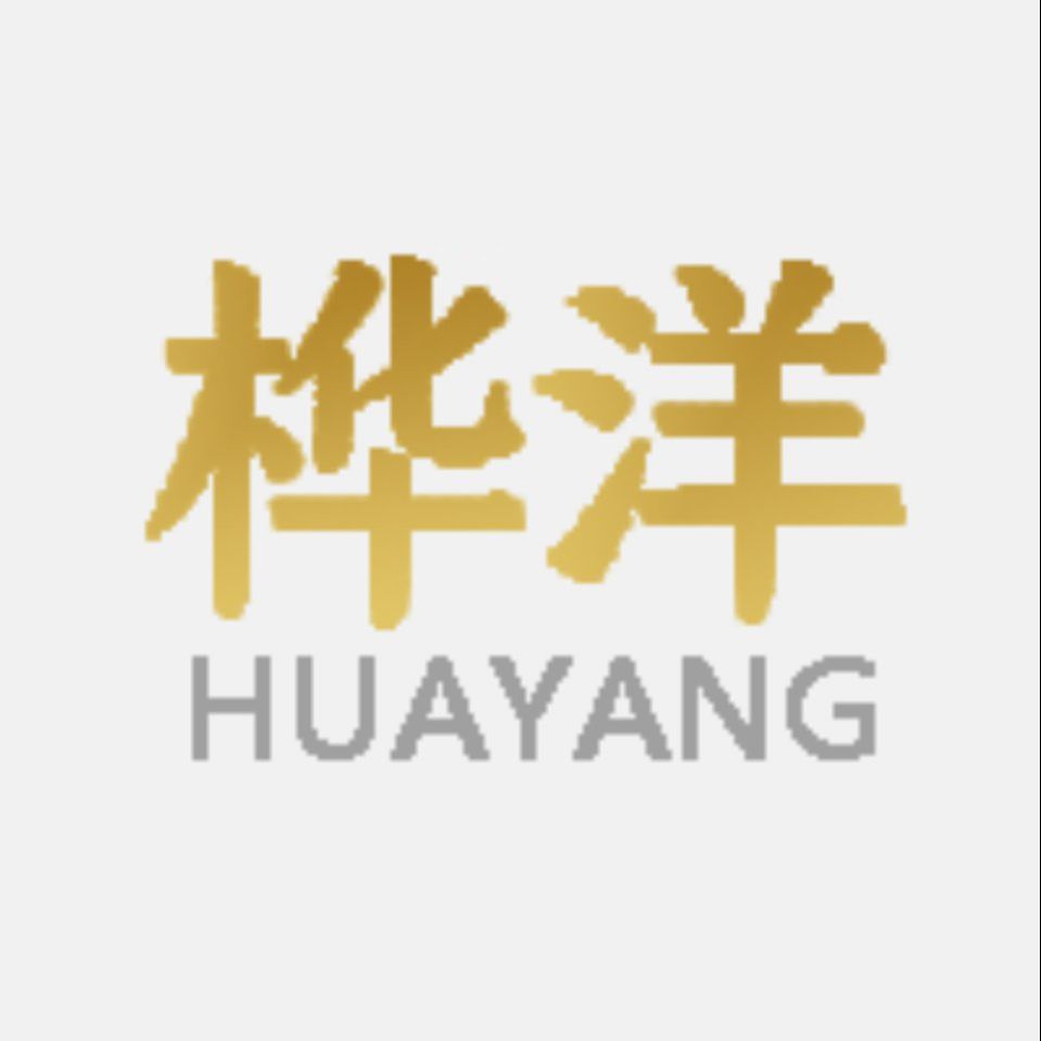 桦洋影视文化传媒