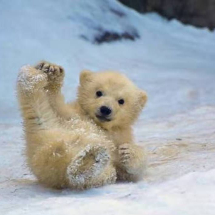 跟着萱仔去旅游