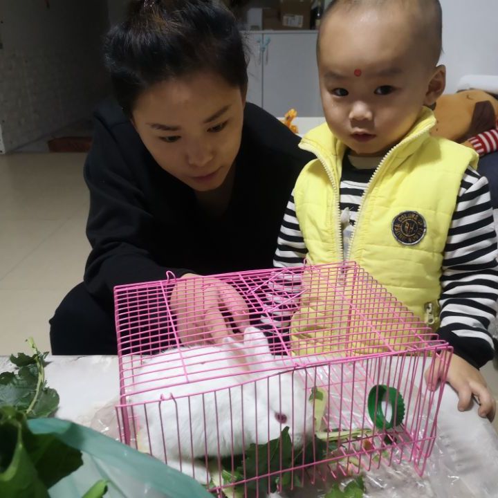 大城市小夫妻