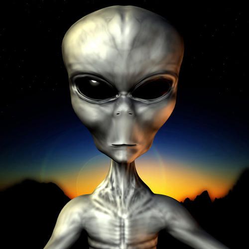 爱喝酸奶的小凯