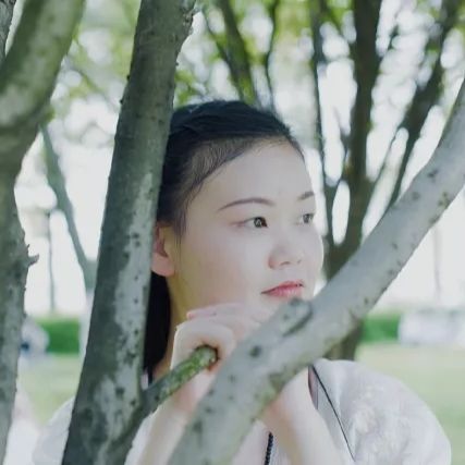 桃叶渡络白看金庸