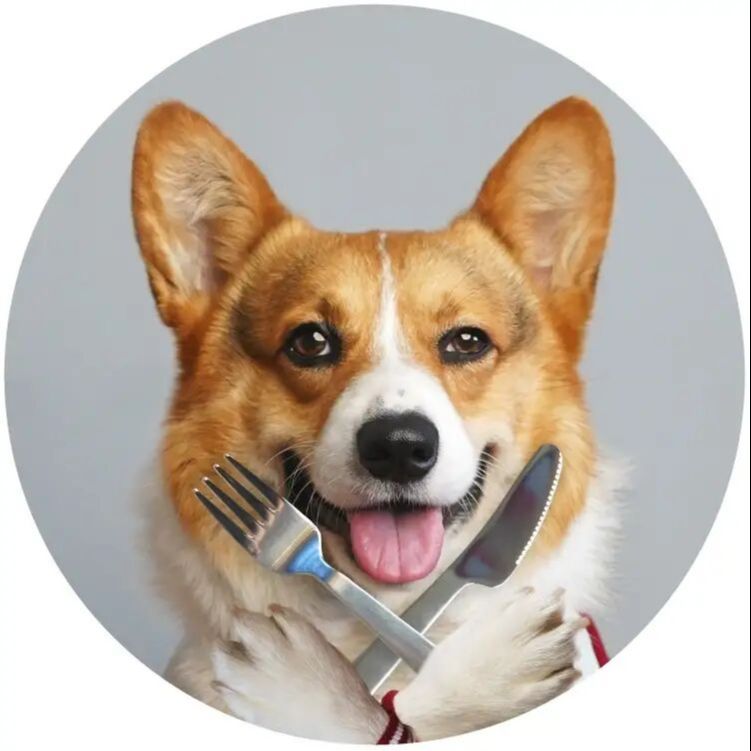 犬食日记