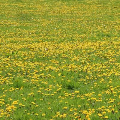 点滴生活趣说坊