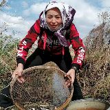 东北翠花在东北