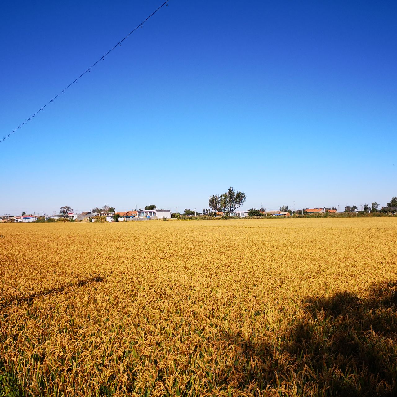 辽宁旅游文化砖家