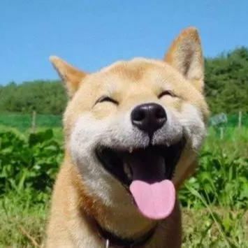 踏上漫漫游戏路