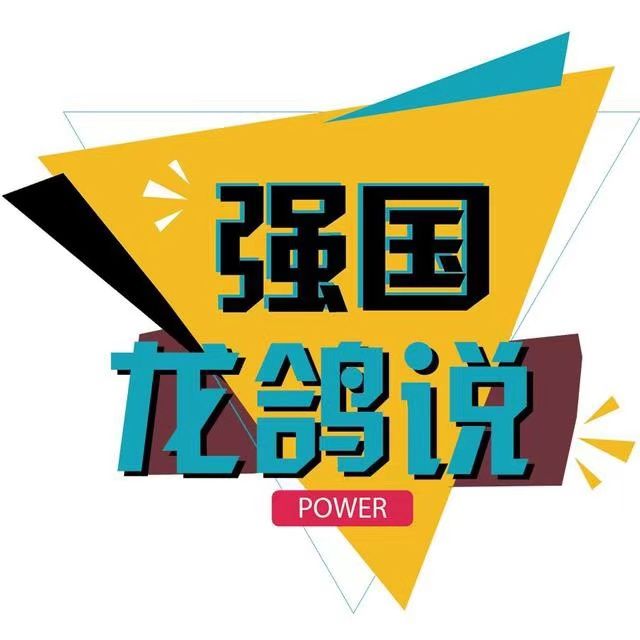 强国龙鸽说
