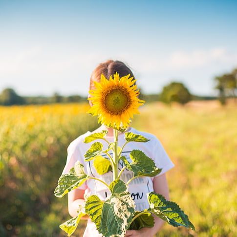 青柠姑娘的异想