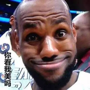 篮球探索观察者