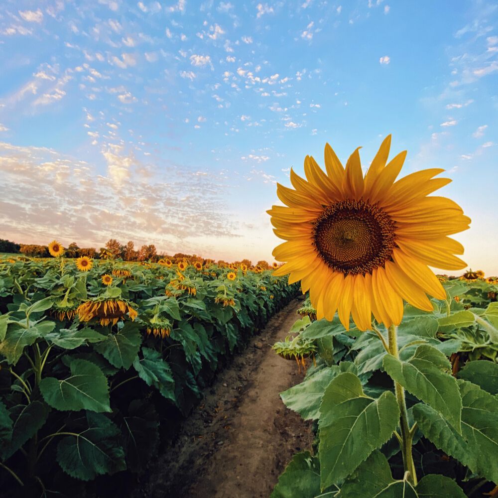 中考升学直通车