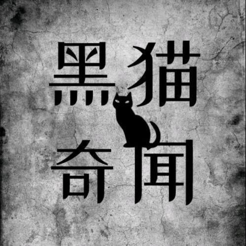 黑猫奇闻