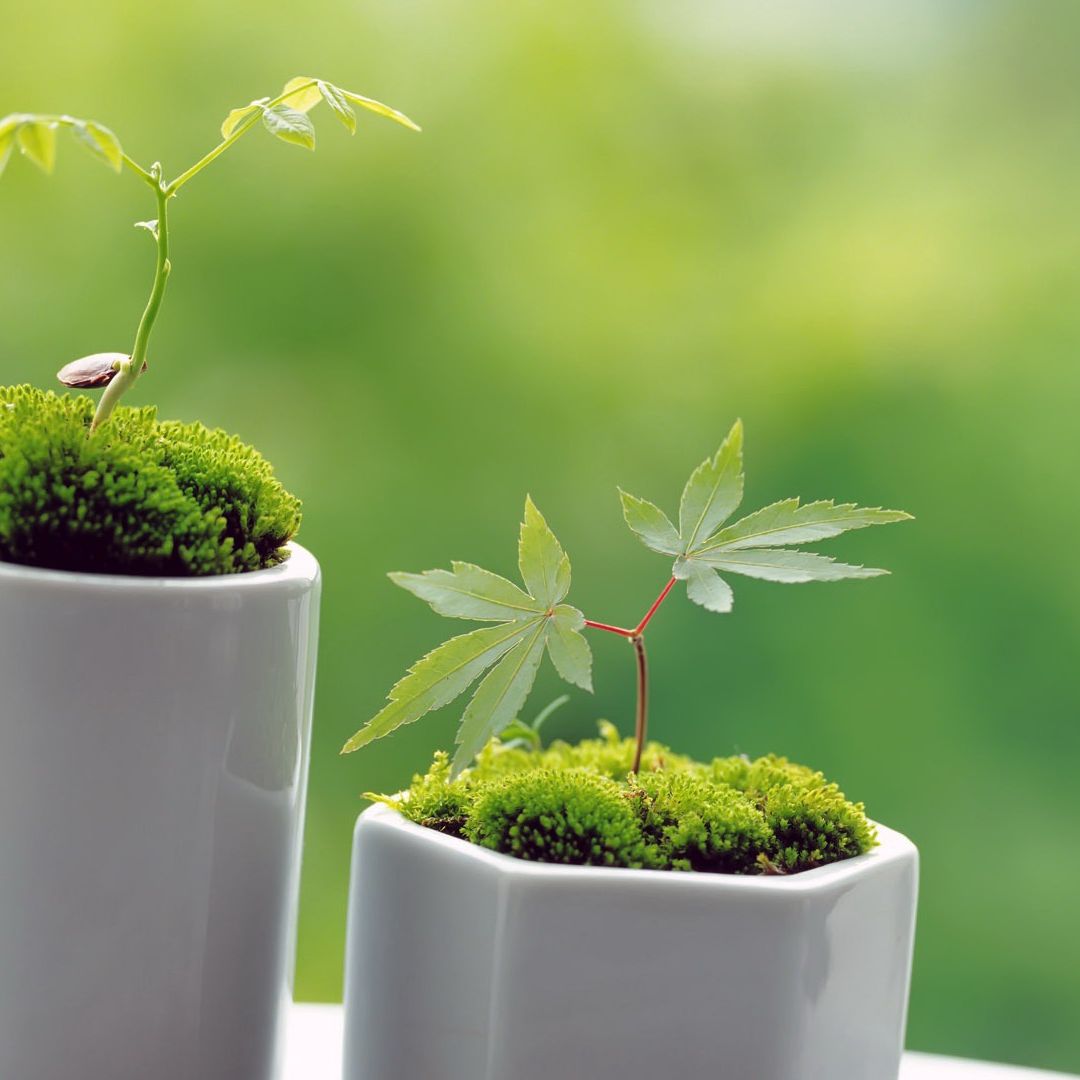 微笑姐的个人分享日常