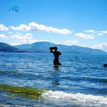 蝴蝶花雨话教育