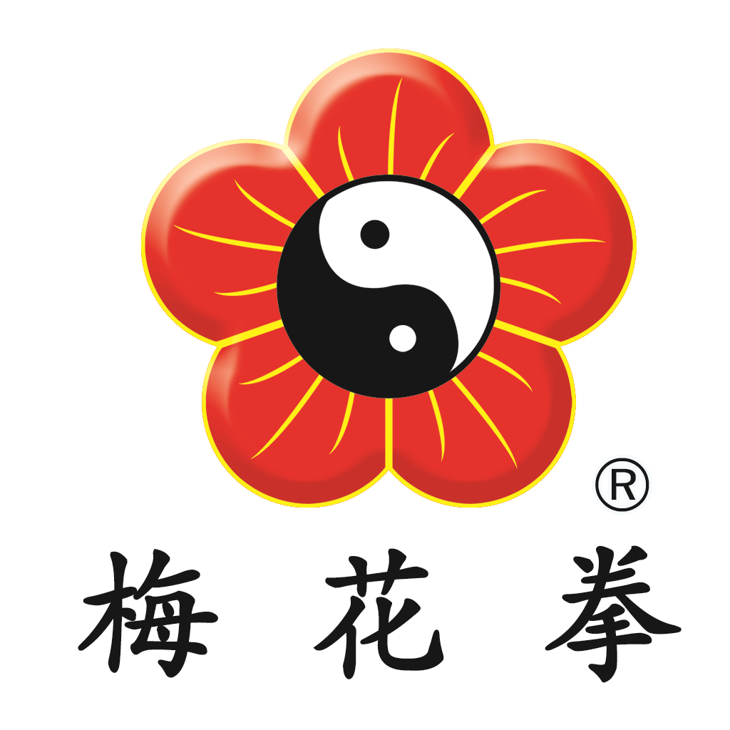 国家级非遗邢台梅花拳传承总会