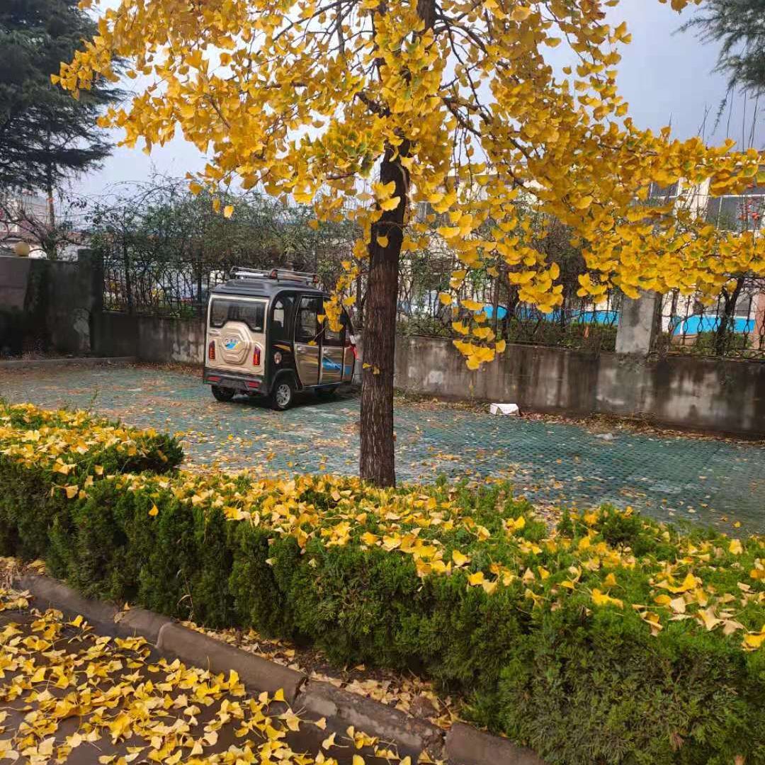 小松观世界