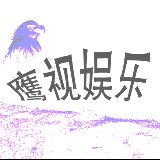 鹰视娱乐