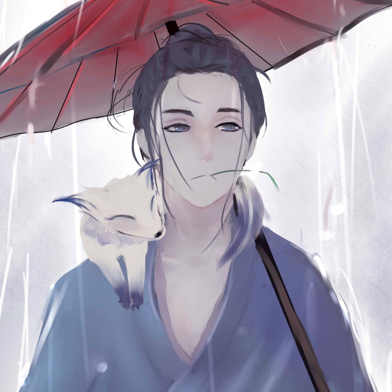小菜动漫