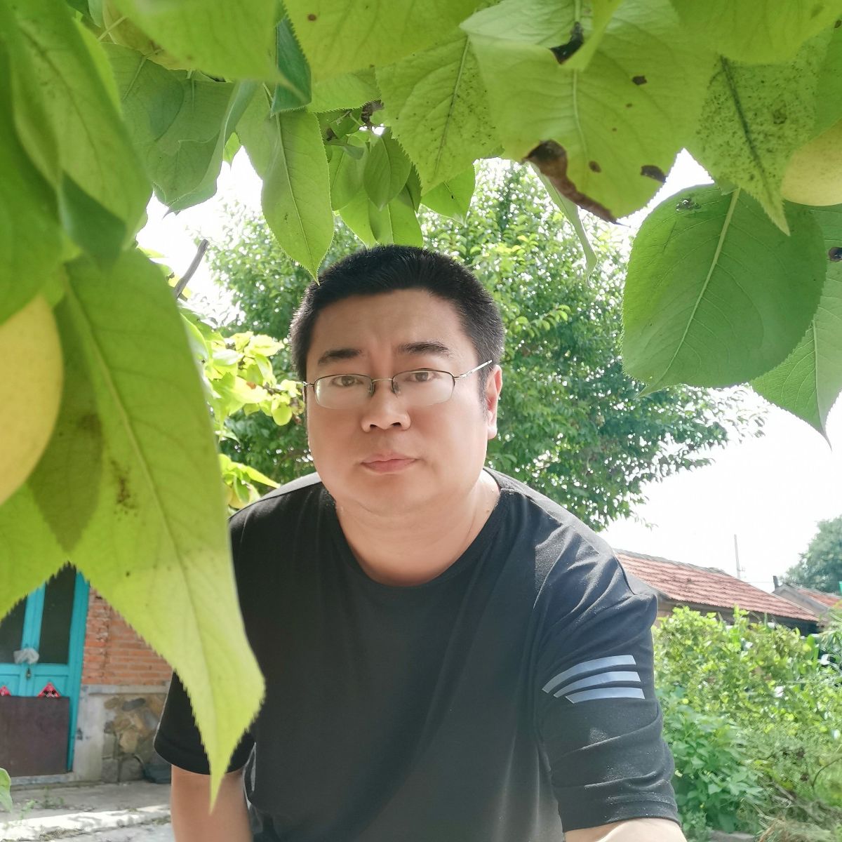 鲁北老于