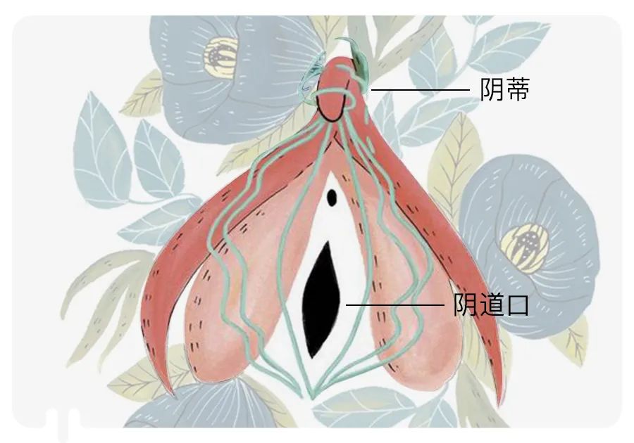 一个30岁女性的性生活自述(很短,很深)