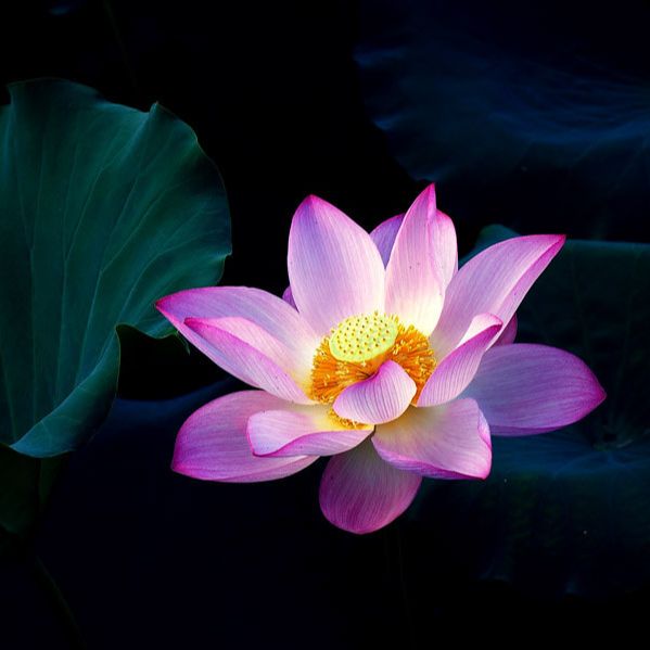 中中经纬