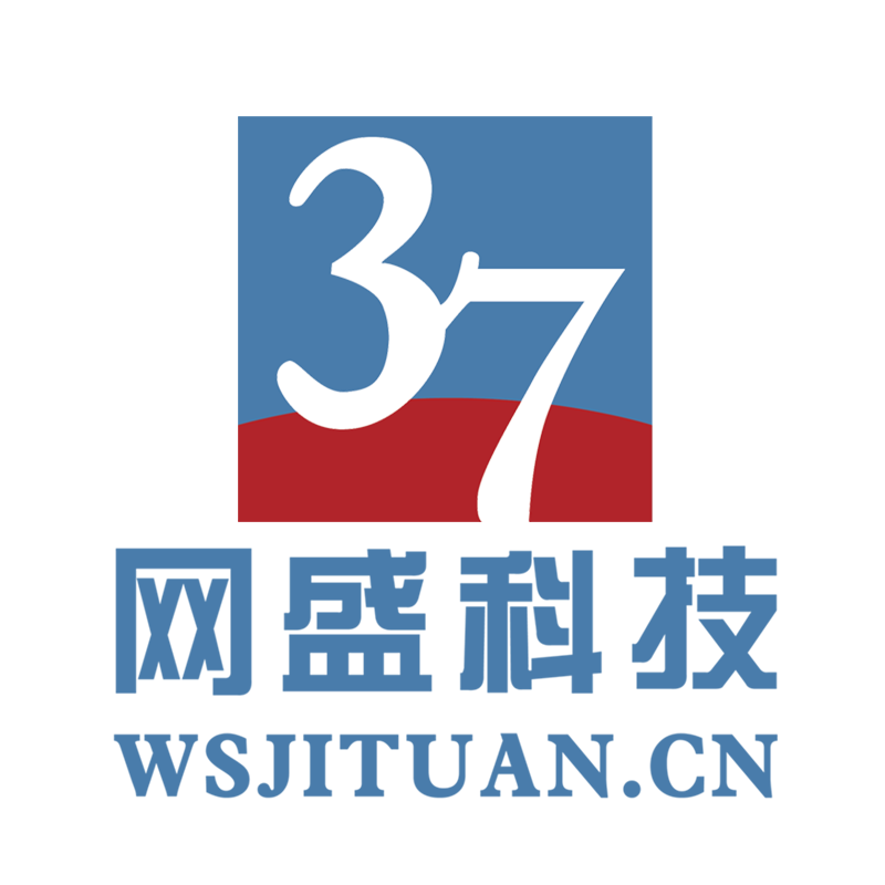 网盛集团