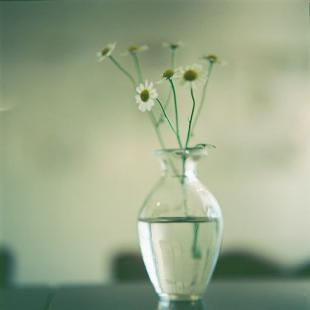 平凡人的慢生活