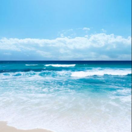 老王跟你说娱乐