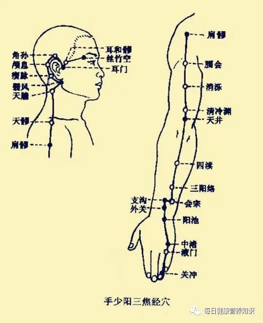 三焦经人体的出气筒女人最重要的一条经络