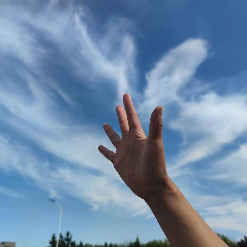 沙沙爱探索