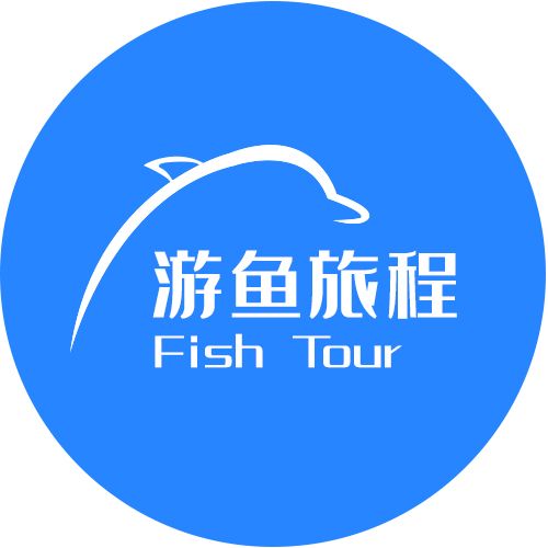 游鱼旅程