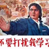 公考代表fatforce