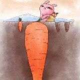 输入法技术支持