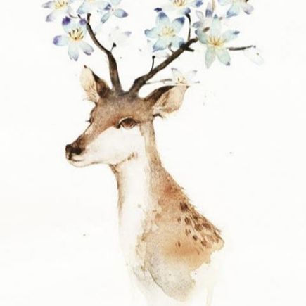 小小鹿债务规划