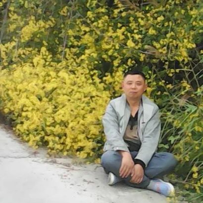 人间诗语