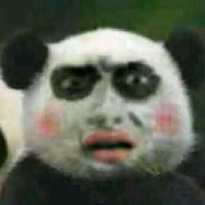 垃圾佬中老司机