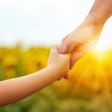 家有小学生陪读日记