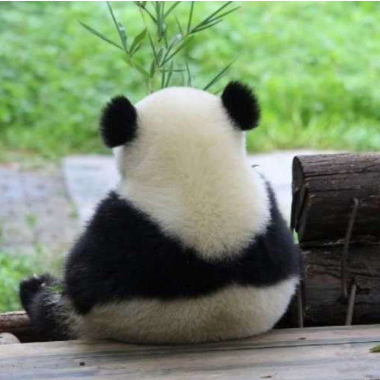 万物皆有史