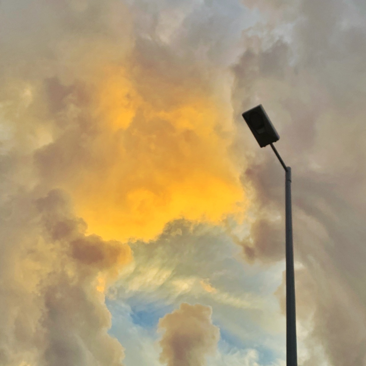 哈尔滨宏光园林花木