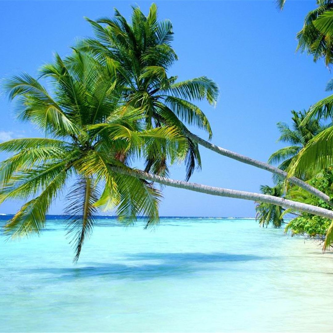 阿伯次德额佛哥