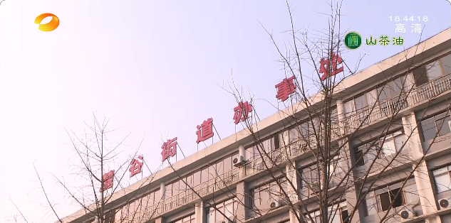 长沙麓谷街道图片