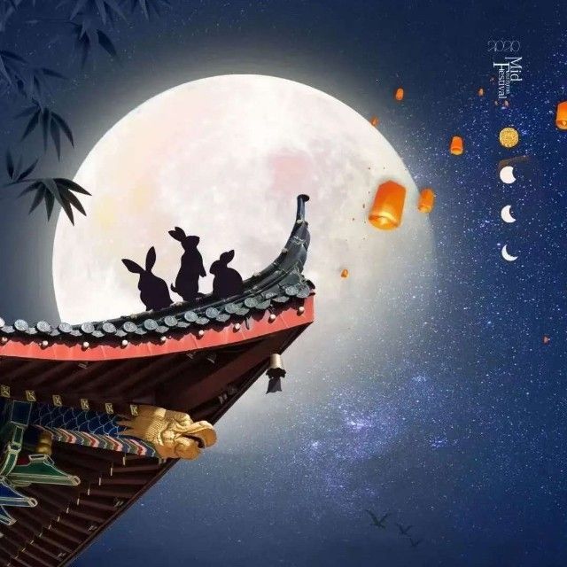 初昕人文