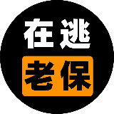 在逃老保