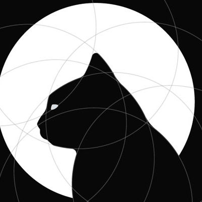 好奇猫的探索之旅