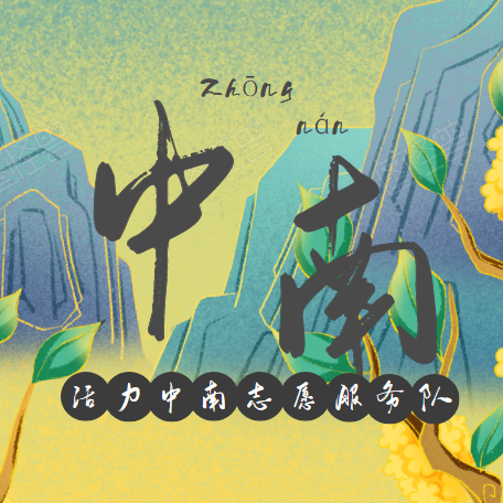 荔湾区中南街道平安促进会