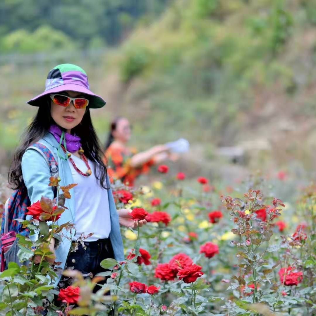 爱美食爱马甲线