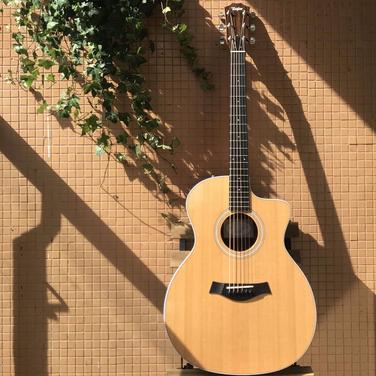 逻辑思维的原点